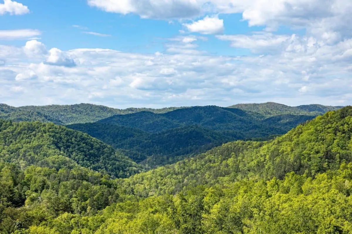 A panoramic view of rolling mountains blanketed in lush greenery under a cloud-filled sky. The vantage point emphasizes the expansive, tranquil beauty of the Smoky Mountains, with hints of seasonal changes visible in the landscape.
